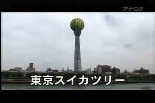 10年08月13日01時45分-フジテレビ-マツコ部屋-0.jpg